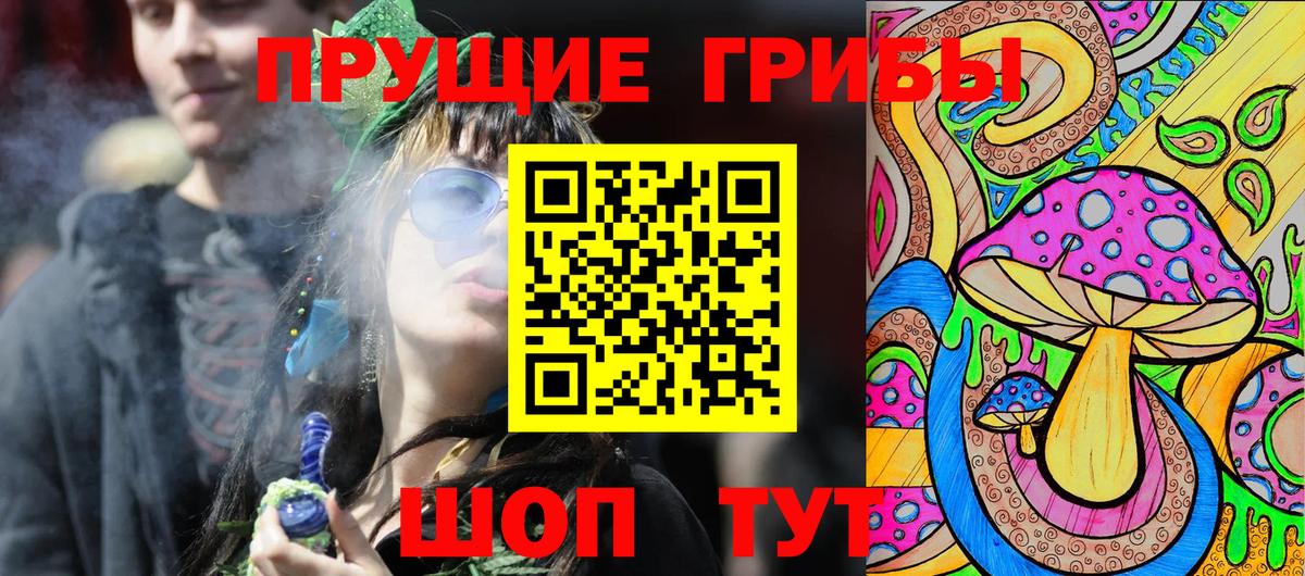 Псилоцибиновые грибы мухоморы  продажа наркотиков  Галлюциногенные грибы Psilocybine cubensis  Михайловка  Вход с VPN 