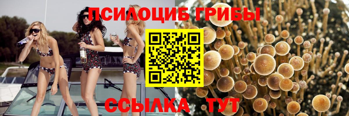 МЕФ кристаллы  Cocaine  ГАШ  MDMA  ЭКСТАЗИ  Михайловка  Мефедрон  Вход с VPN 